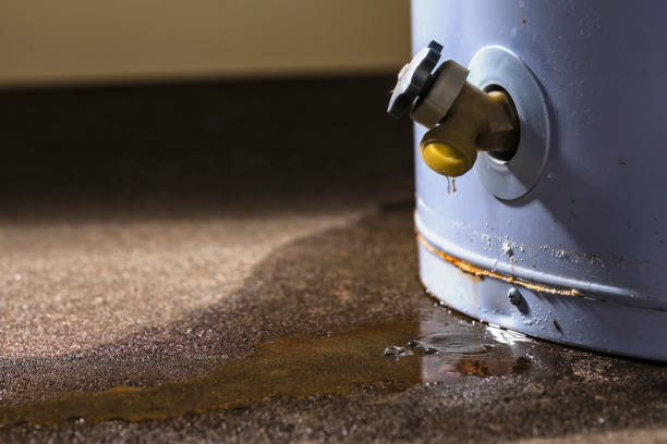 Best Basement water damage restoration  in Silver Lake, NC