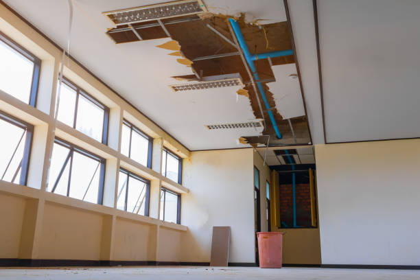 Best Ceiling water damage repair  in Silver Lake, NC