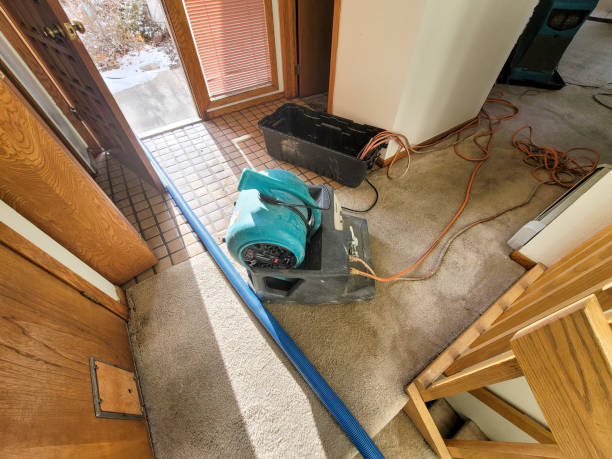 Best 24/7 water damage repair  in Silver Lake, NC