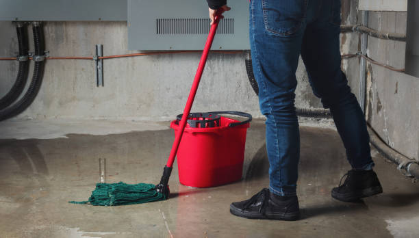 Best Flood damage cleanup  in Silver Lake, NC