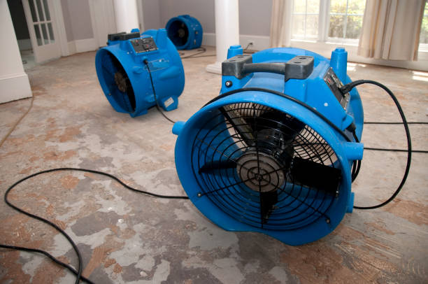 Best Water damage contractors near me  in Silver Lake, NC