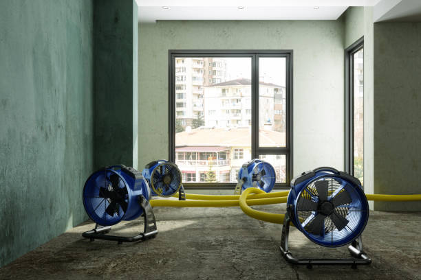 Best Water damage restoration process  in Silver Lake, NC
